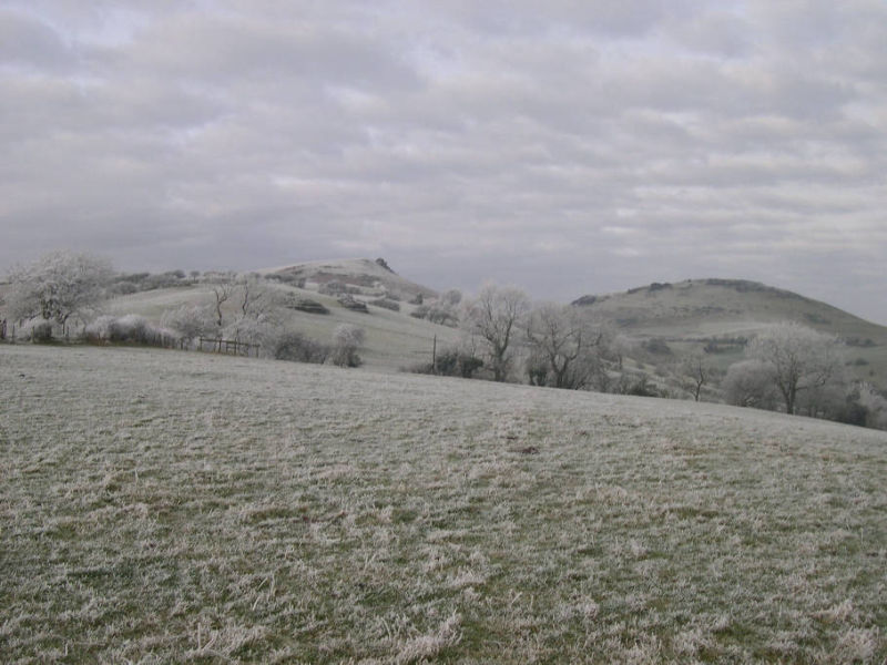 Frosty scene