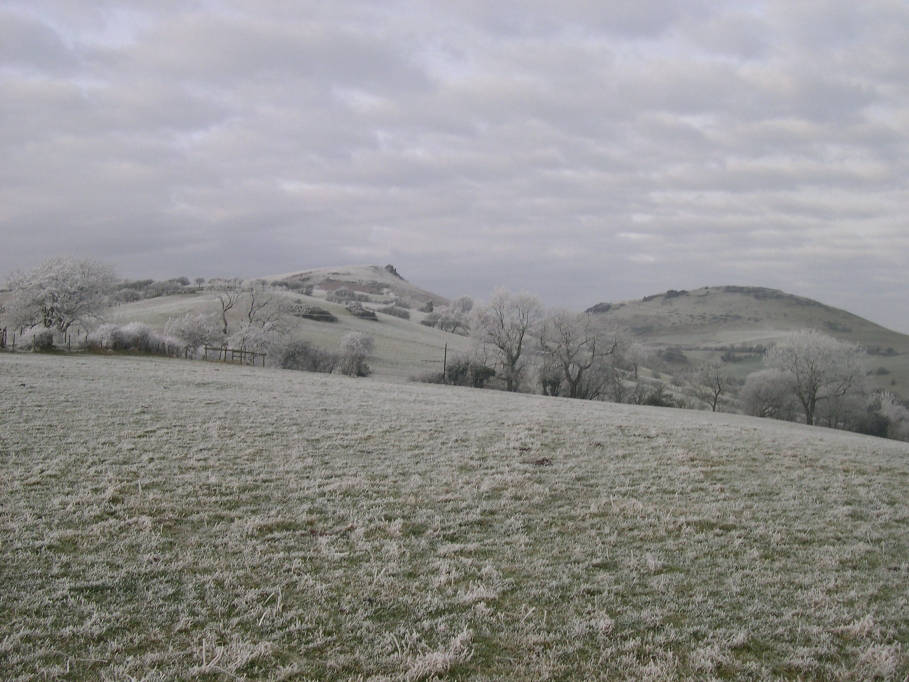 Frosty scene