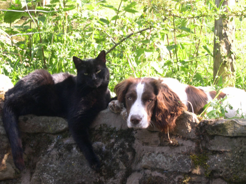Milly and Sam on the wall