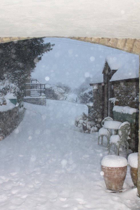 Snow Scene