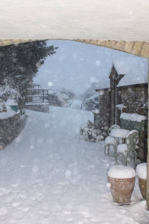 Snow Scene