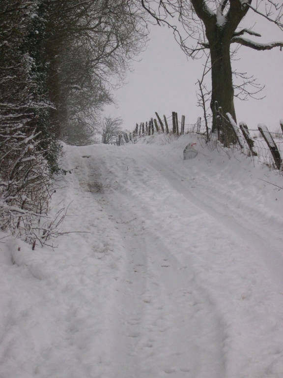 The Lane