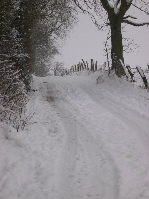 The Lane